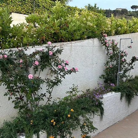 Villa Dei Fiori Zambrone